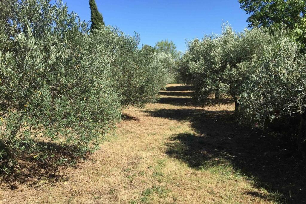 Bastide Derroc Villa Котиняк Екстериор снимка